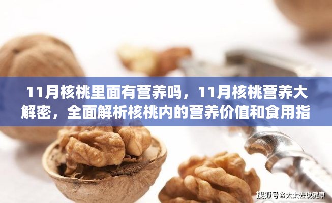 揭秘十一月核桃的营养秘密，全面解析核桃营养价值与食用指南