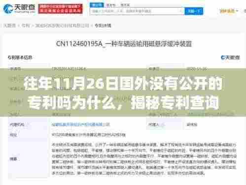 揭秘专利查询过程,如何在特定日期寻找未被公开的国外专利?往年11月26日专利揭秘之旅