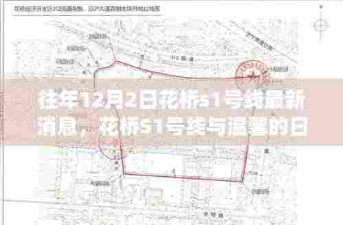 花桥S1号线，友情与陪伴的温馨日常趣事