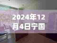 宁国最新房屋出租信息启航新征程,学习变化铸就自信与成就,2024年12月4日