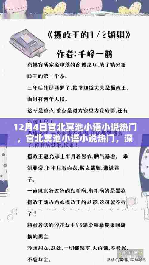 宫北冥池小语小说热门,深度测评与介绍,不容错过!