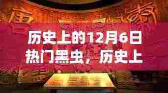 探寻热门黑虫背后的故事与争议,历史上的十二月六日回顾