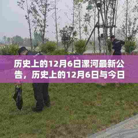 飞黄腾踏 第5页