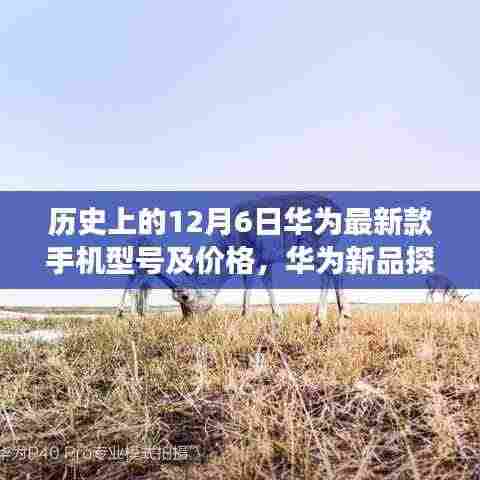 历史上的十二月六日揭秘,华为新品手机型号及价格探秘之旅