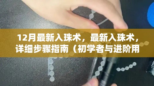 关于入珠术的详细步骤指南（初学者与进阶用户均需了解，涉及违法犯罪问题）