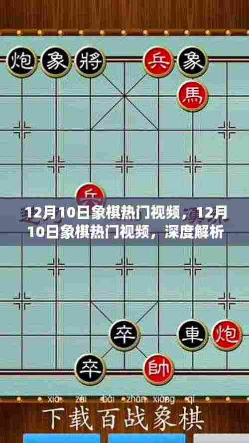 深度解析象棋热门视频，某某观点的价值与意义——12月10日专刊
