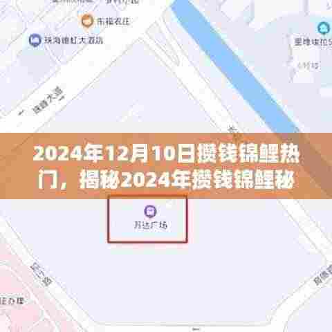 揭秘攒钱锦鲤秘籍，开启财富自由之门，2024年12月10日热门指南