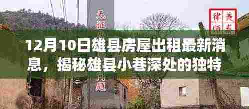 揭秘雄县小巷深处的独特风情,最新房屋出租消息与特色小店一览(12月10日)