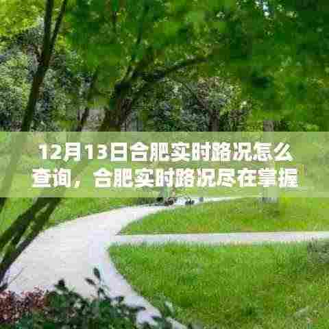 合肥实时路况查询指南,智能导航重塑出行体验,路况尽在掌握!