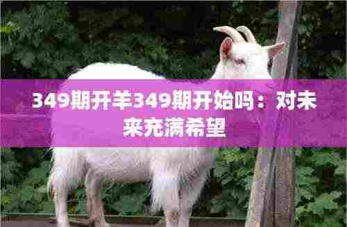 349期开羊349期开始吗：对未来充满希望