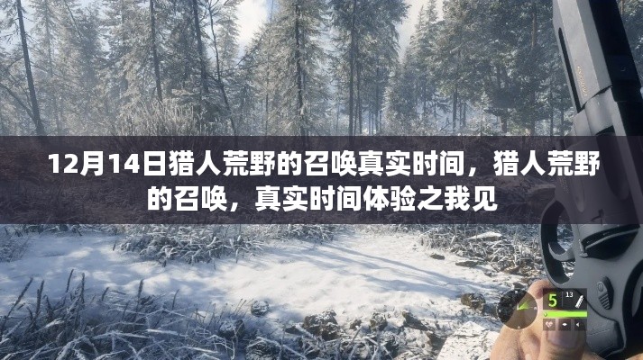 猎人荒野的召唤,真实时间体验分享与感悟