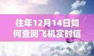 揭秘往年12月14日飞机实时信息及探秘小巷隐世小店之旅
