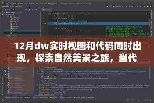 十二月奇妙时刻，代码与自然美景的交融之旅