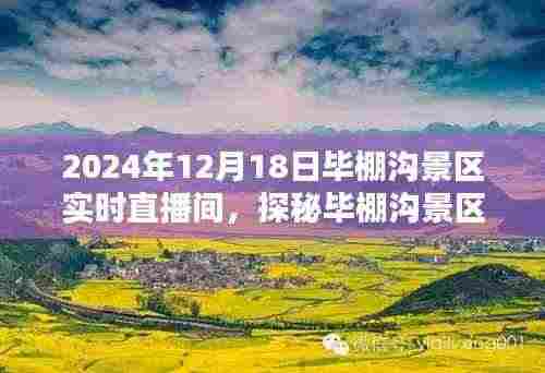探秘毕棚沟景区隐藏小巷的独特直播间,特色小店极致魅力直播日
