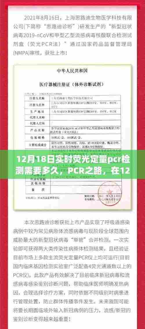见证变化的力量与时间的魔法，实时荧光定量PCR检测之路在12月18日的探索之旅
