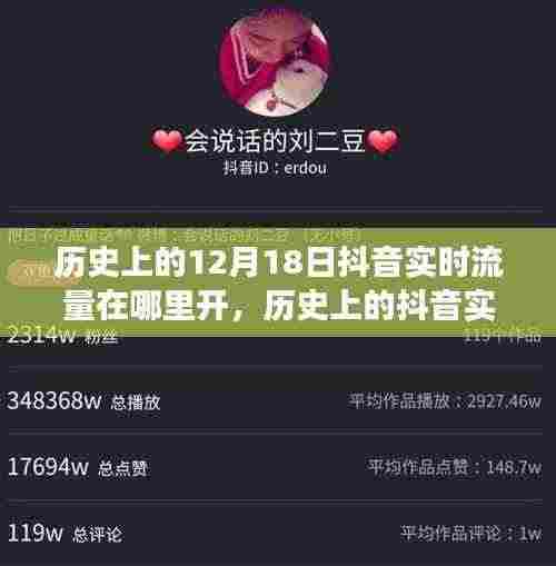 历史上的抖音实时流量变迁深度解析与用户体验报告,12月18日抖音实时流量的开启与变迁