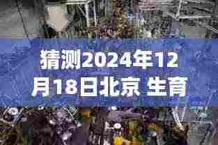探秘北京生育实时结算特色小店，孕育新生之秘密之旅（2024年12月18日）