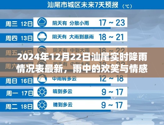2024年12月22日汕尾降雨实况与温馨日常,雨中欢笑与情感纽带