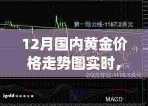 黄金走势揭秘，12月国内黄金价格动态与背后的故事，自信闪耀，成就无限可能