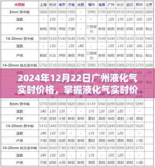 广州液化气实时价格指南,掌握查询技巧,初学者与进阶用户必备知识(2024年12月22日)