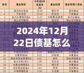 步步为赢策略指南,解读债基市场动态与实时查看债基走势的实用指南(2024年12月22日)