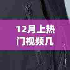 揭秘十二月热门视频的秘密时光,热门视频标准与温暖故事瞬间