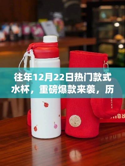 历年12月22日最热门水杯爆款来袭,TOP榜单揭晓