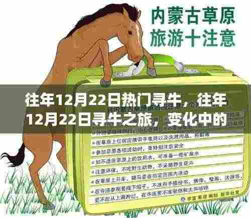 往年12月22日寻牛之旅,变化中的学习与自信成就之源