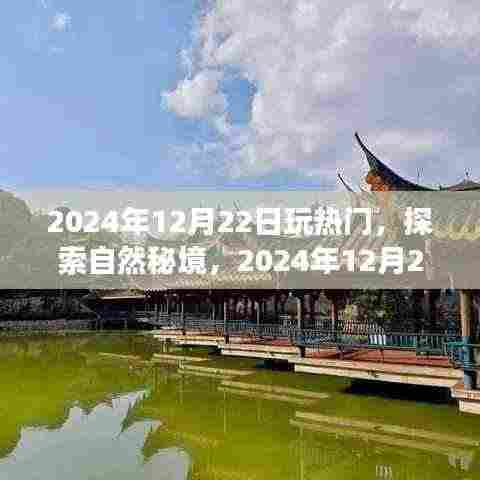 探索自然秘境,揭秘热门旅行地,寻找内心的宁静与平和——2024年12月22日的旅程