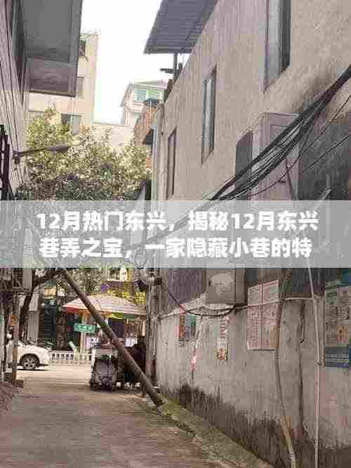 揭秘东兴巷弄之宝,12月隐藏小巷的特色小店探索之旅