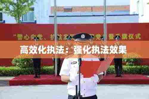 高效化执法:强化执法效果