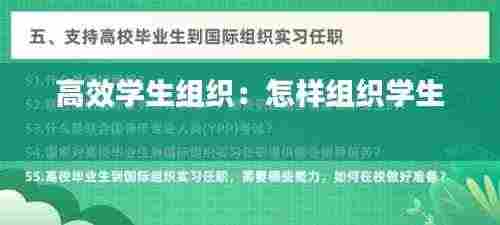 高效学生组织：怎样组织学生 