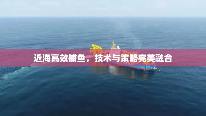 近海高效捕鱼,技术与策略完美融合