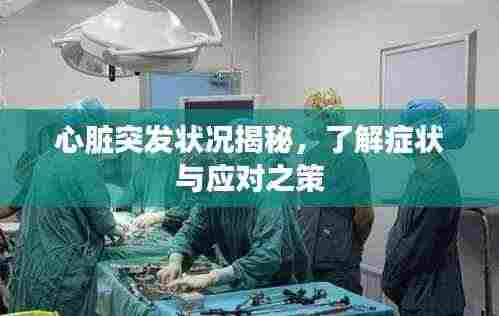 心脏突发状况揭秘,了解症状与应对之策
