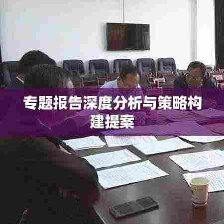专题报告深度分析与策略构建提案