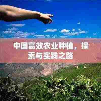 中国高效农业种植,探索与实践之路