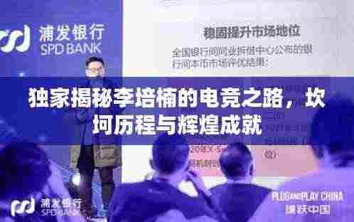 独家揭秘李培楠的电竞之路,坎坷历程与辉煌成就