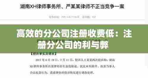 高效的分公司注册收费低：注册分公司的利与弊 