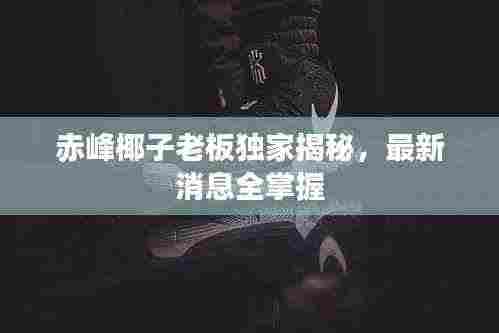 赤峰椰子老板独家揭秘，最新消息全掌握