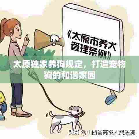 太原独家养狗规定,打造宠物狗的和谐家园