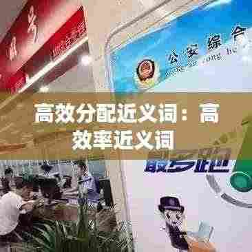 高效分配近义词:高效率近义词