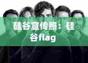 硅谷宣传照：硅谷flag 
