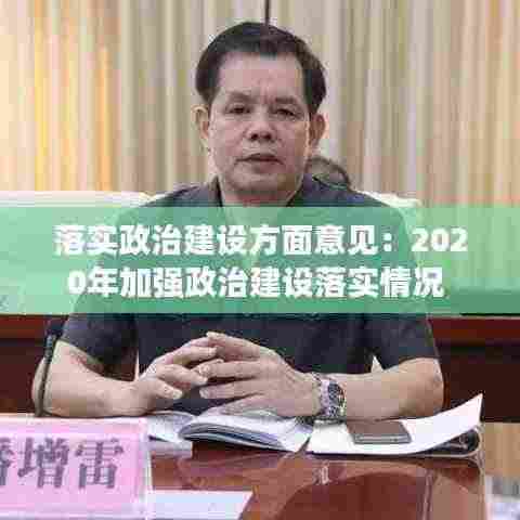 落实政治建设方面意见:2020年加强政治建设落实情况