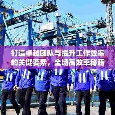 打造卓越团队与提升工作效率的关键要素,全场高效率秘籍揭秘!