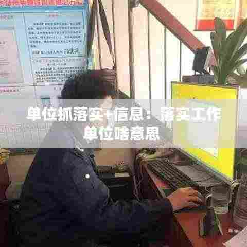 单位抓落实+信息:落实工作单位啥意思