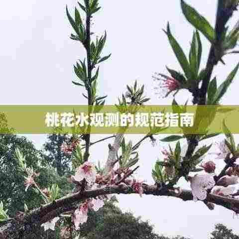 桃花水观测的规范指南