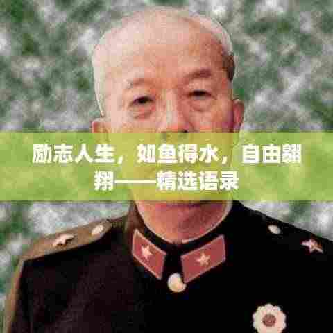 励志人生,如鱼得水,自由翱翔——精选语录