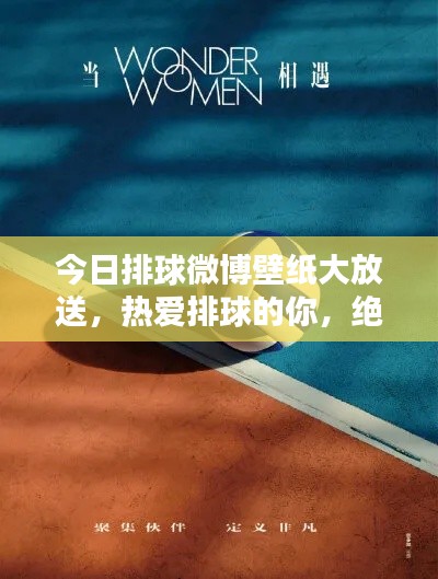今日排球微博壁纸大放送，热爱排球的你，绝对不能错过的视觉盛宴！