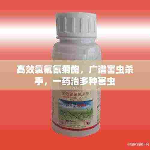 繁鸟萃棘 第4页