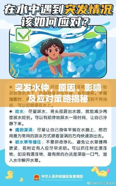 突发水仲,原因、影响及应对策略揭秘